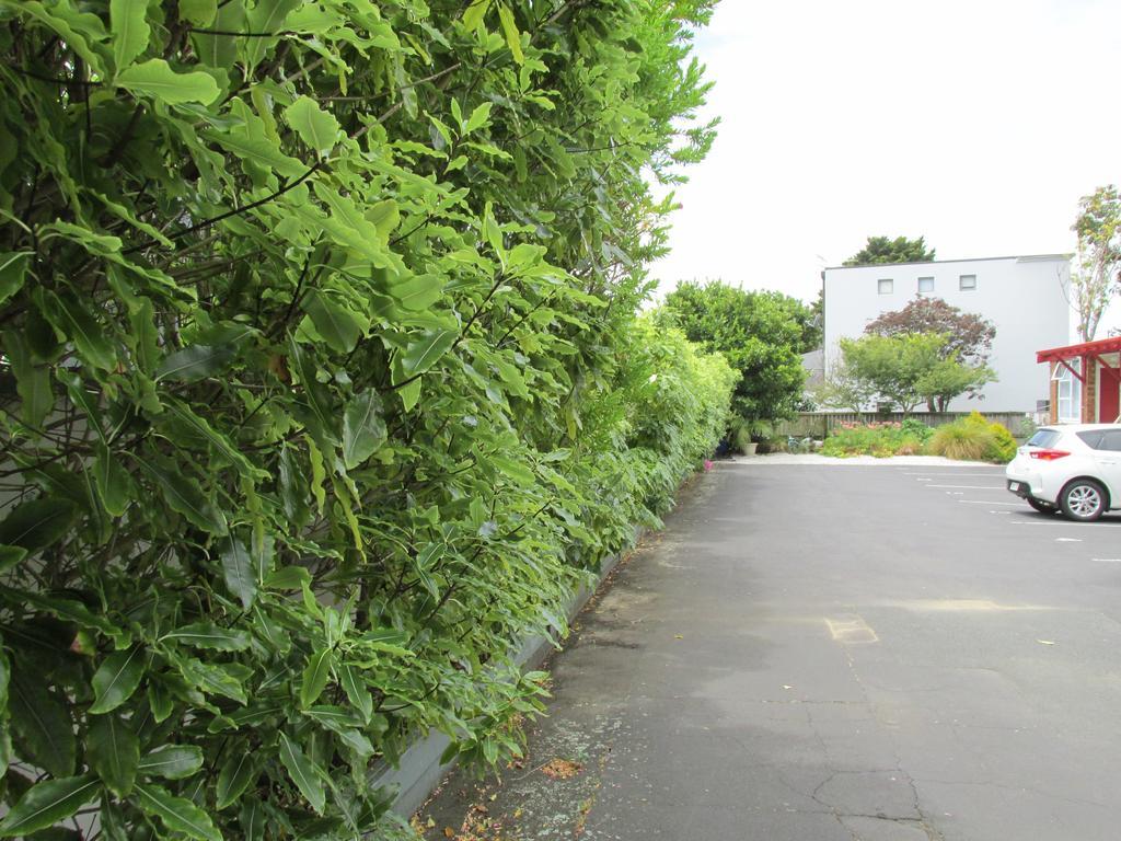 Dilworth Motel Auckland Ngoại thất bức ảnh